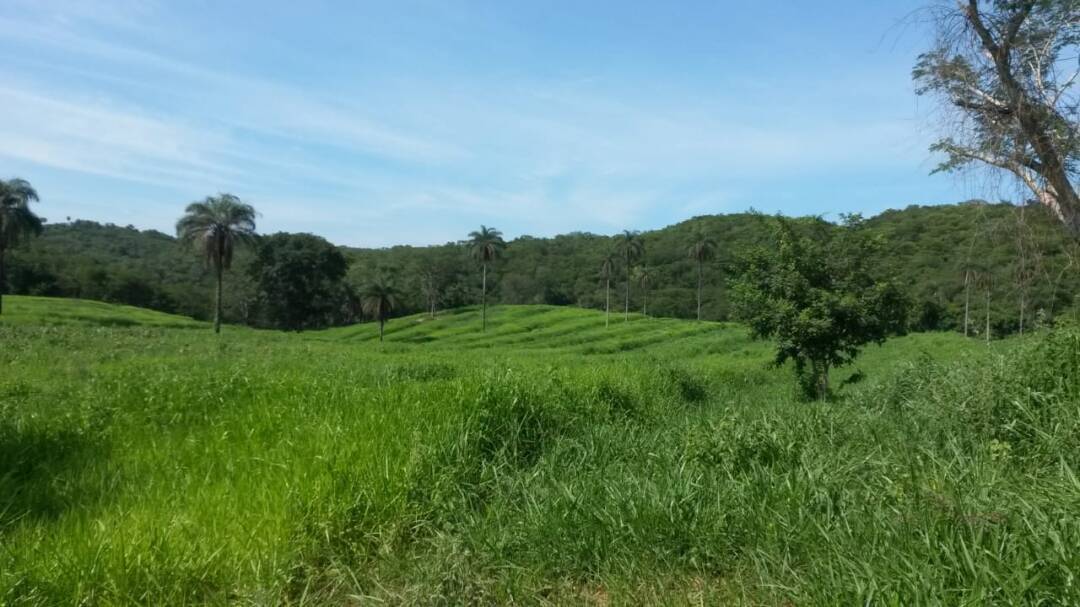 Fazenda à venda, 460m² - Foto 5