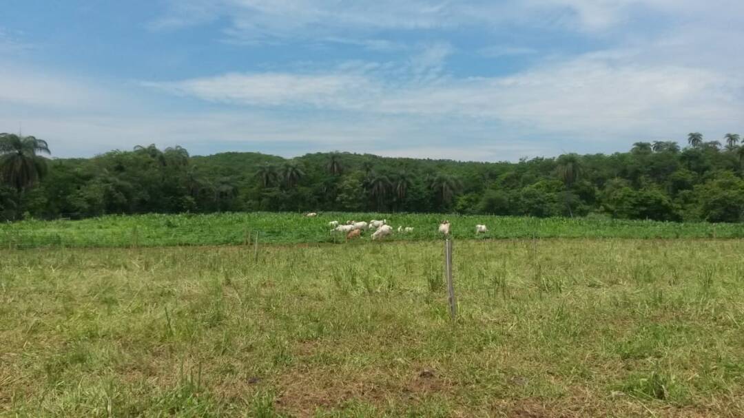 Fazenda à venda, 460m² - Foto 7