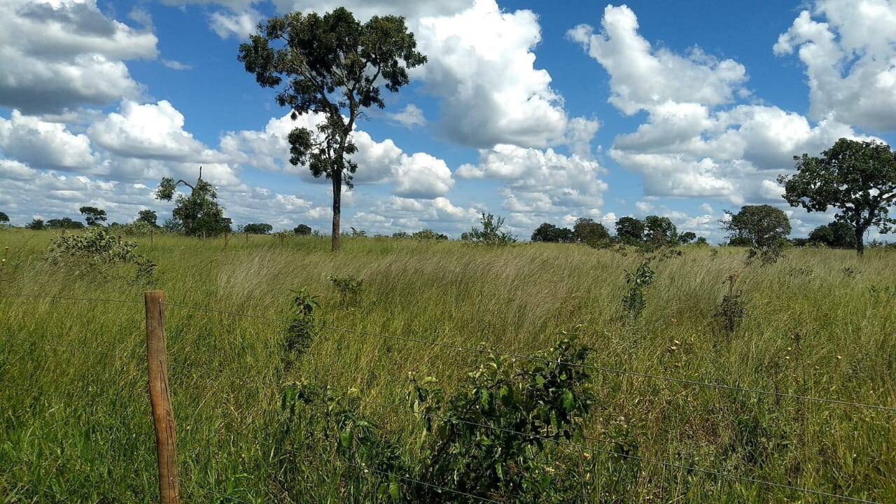 Terreno à venda, 2m² - Foto 2