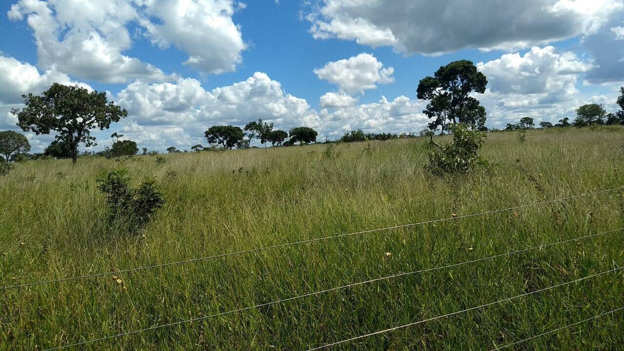 Terreno à venda, 2m² - Foto 3