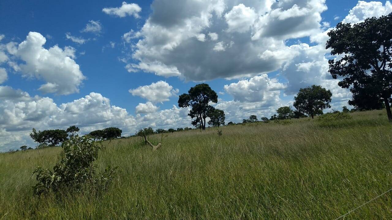 Terreno à venda, 2m² - Foto 5