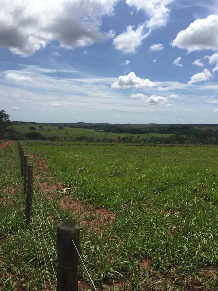 Fazenda à venda, 2m² - Foto 6