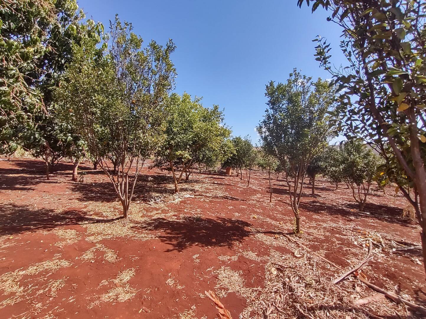 Terreno à venda, 2m² - Foto 2