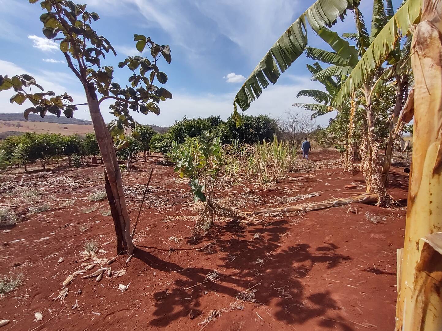 Terreno à venda, 2m² - Foto 4