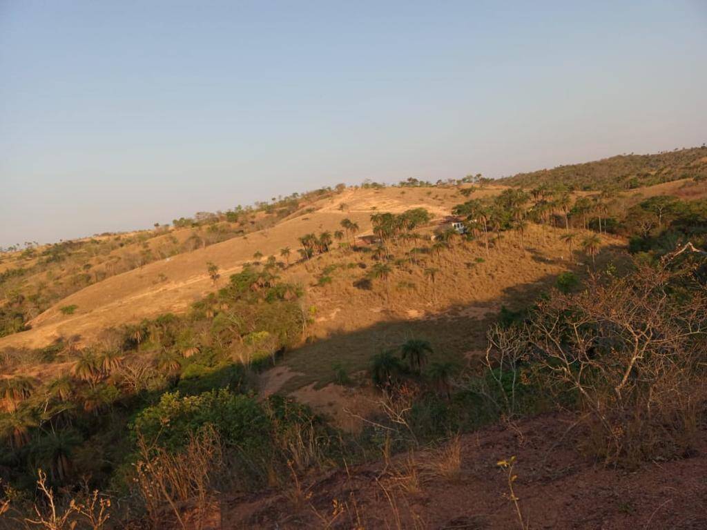 Fazenda à venda, 2130m² - Foto 8