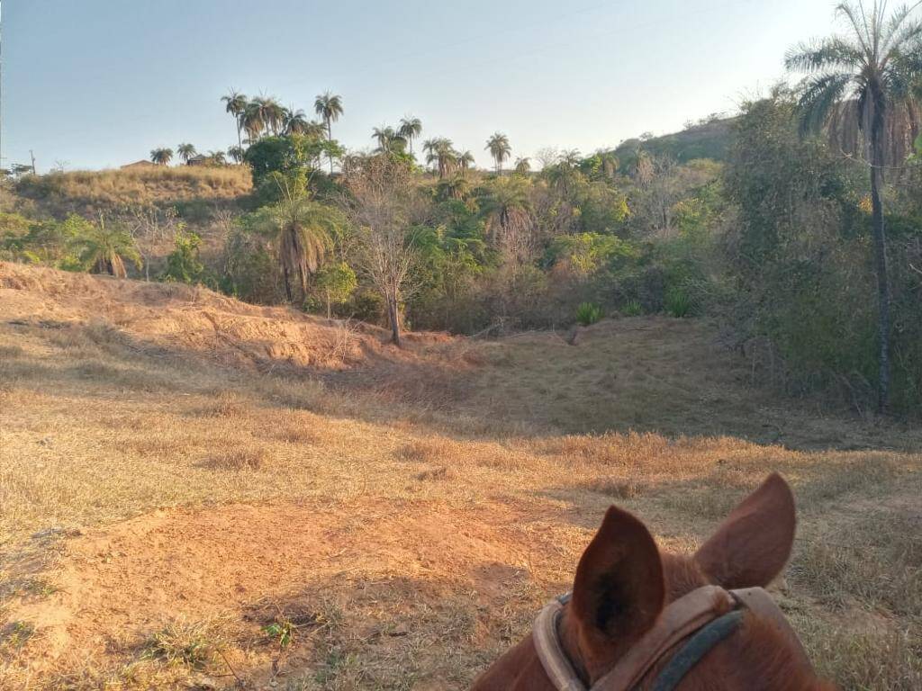 Fazenda à venda, 2130m² - Foto 9