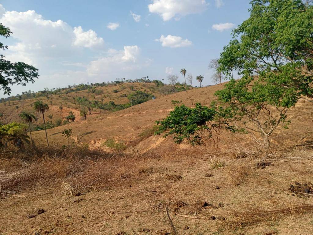 Fazenda à venda, 2130m² - Foto 10