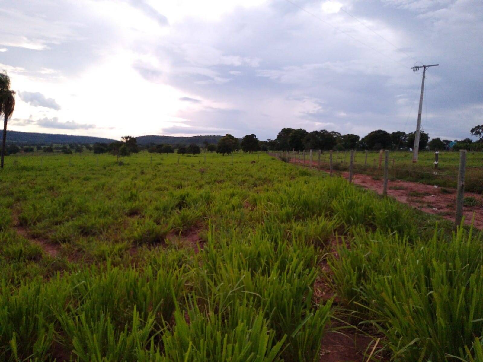 Terreno à venda, 23m² - Foto 5