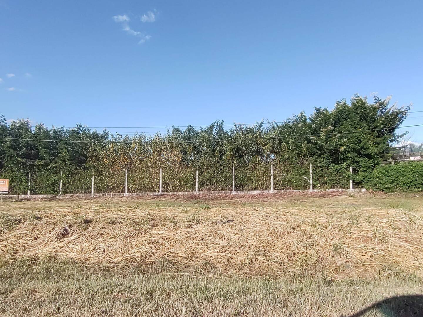 Fazenda para alugar, 1m² - Foto 4