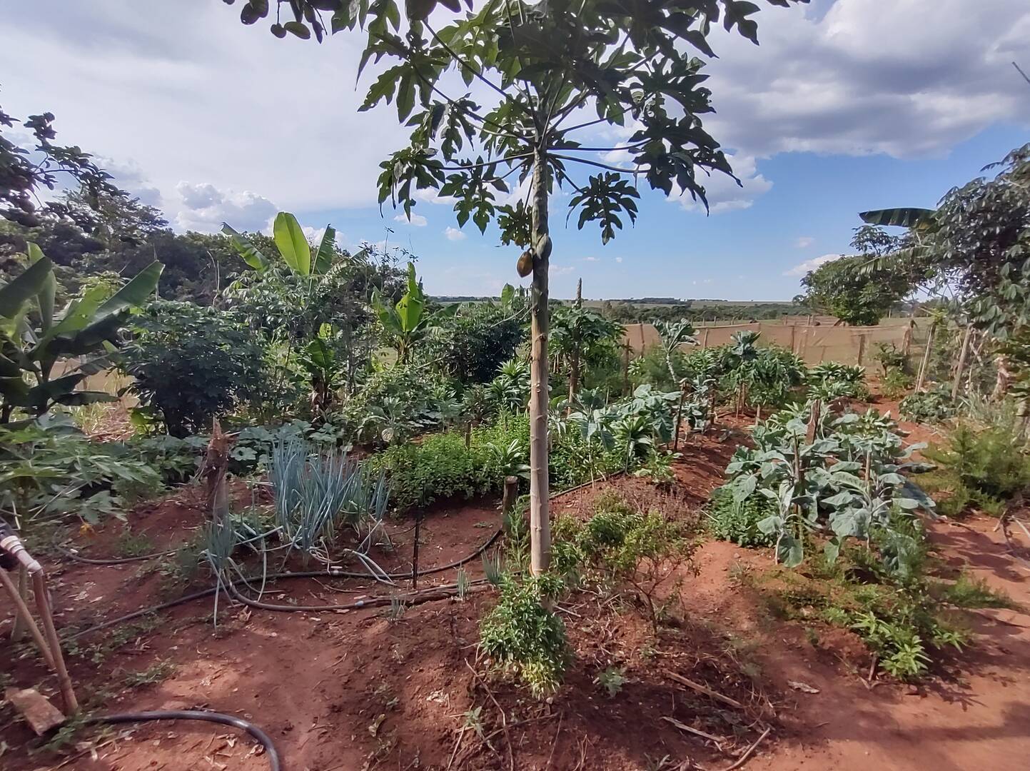 Terreno à venda, 200m² - Foto 25