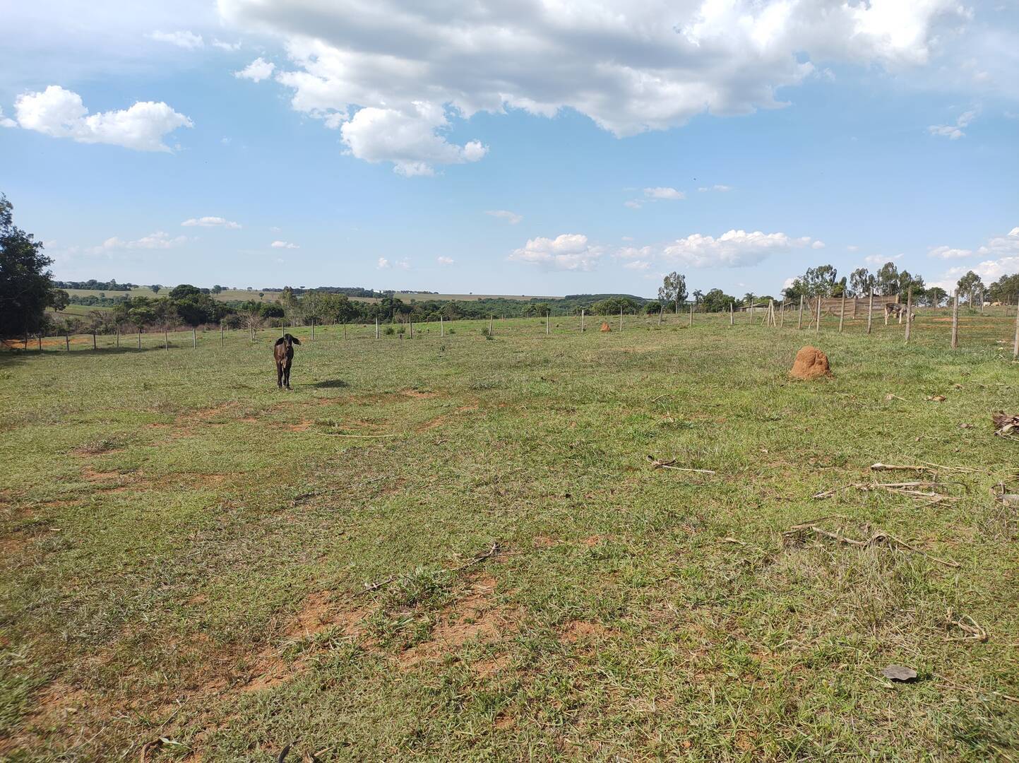 Terreno à venda, 200m² - Foto 28