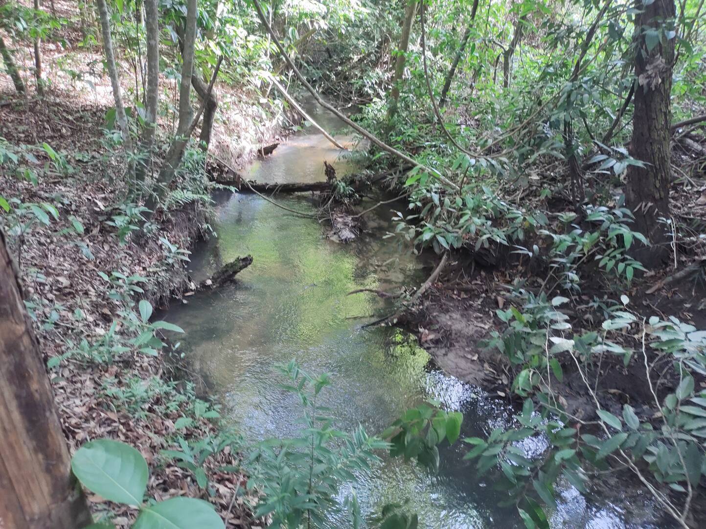 Terreno à venda, 200m² - Foto 4