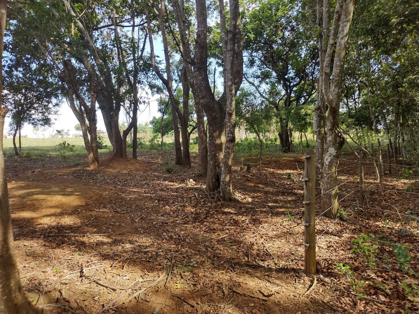 Terreno à venda, 200m² - Foto 33