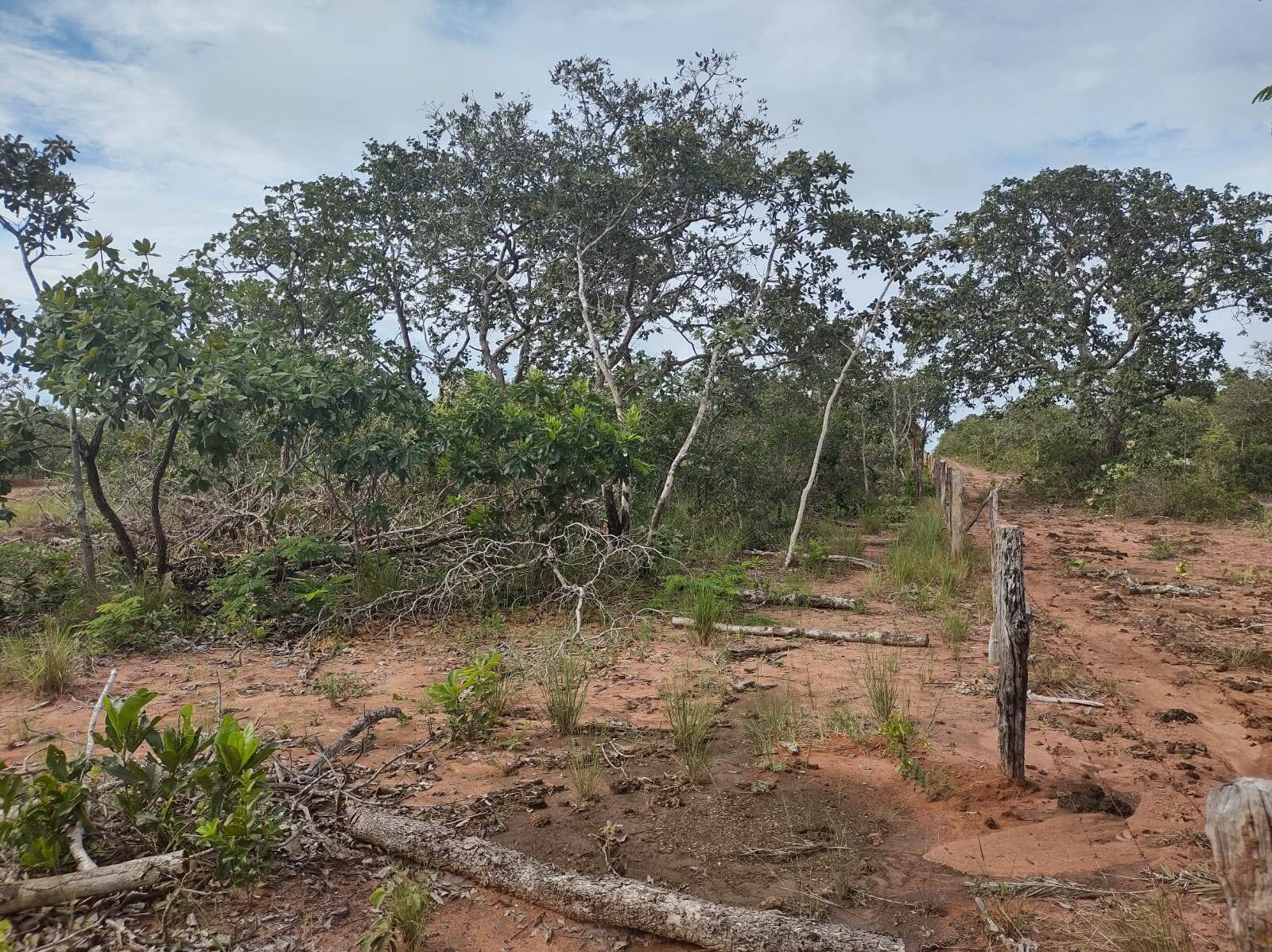 Terreno à venda, 75m² - Foto 4