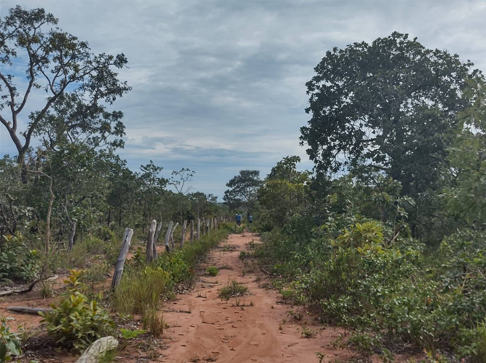 Terreno à venda, 75m² - Foto 6