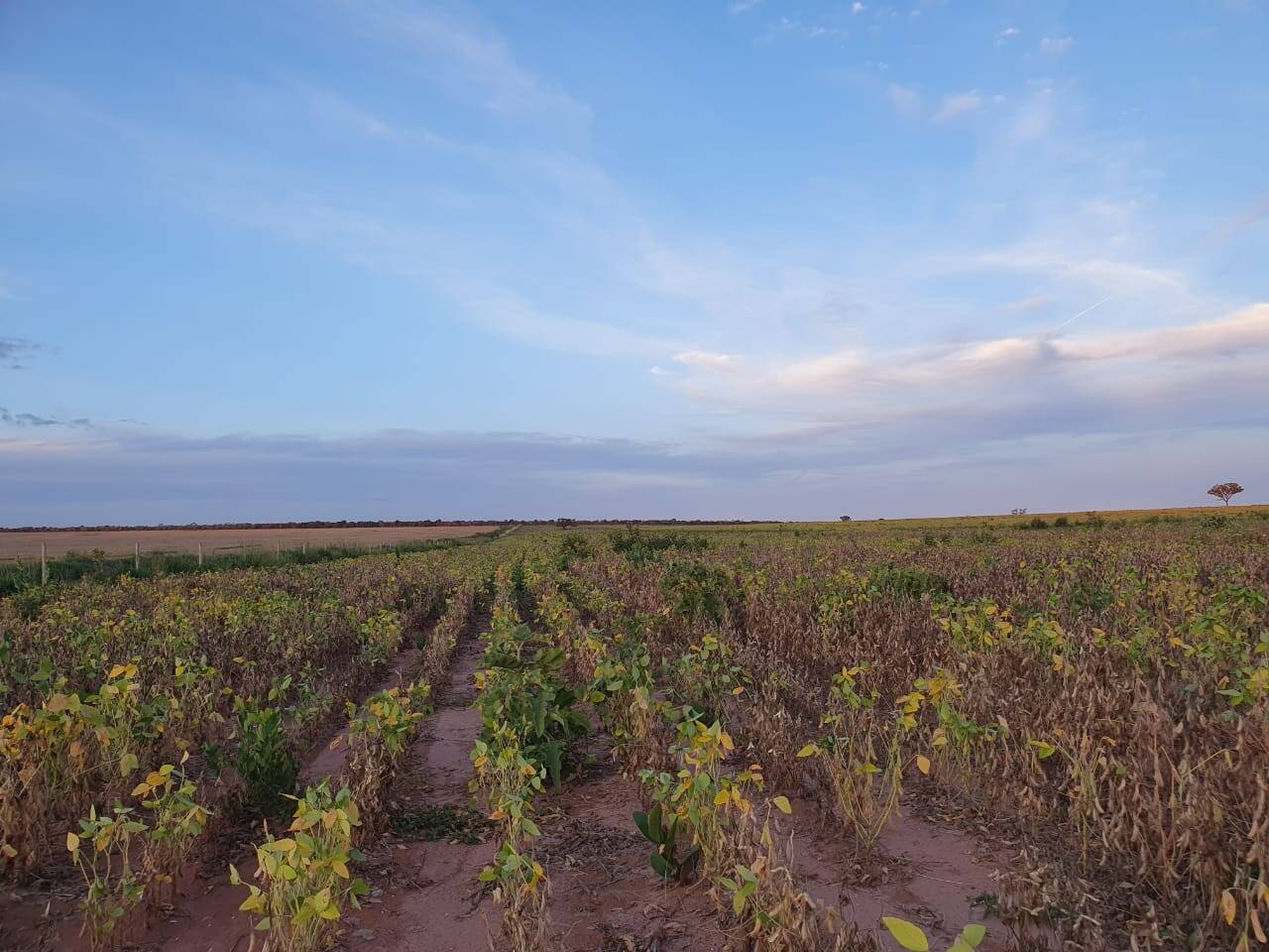 Fazenda à venda, 407m² - Foto 6