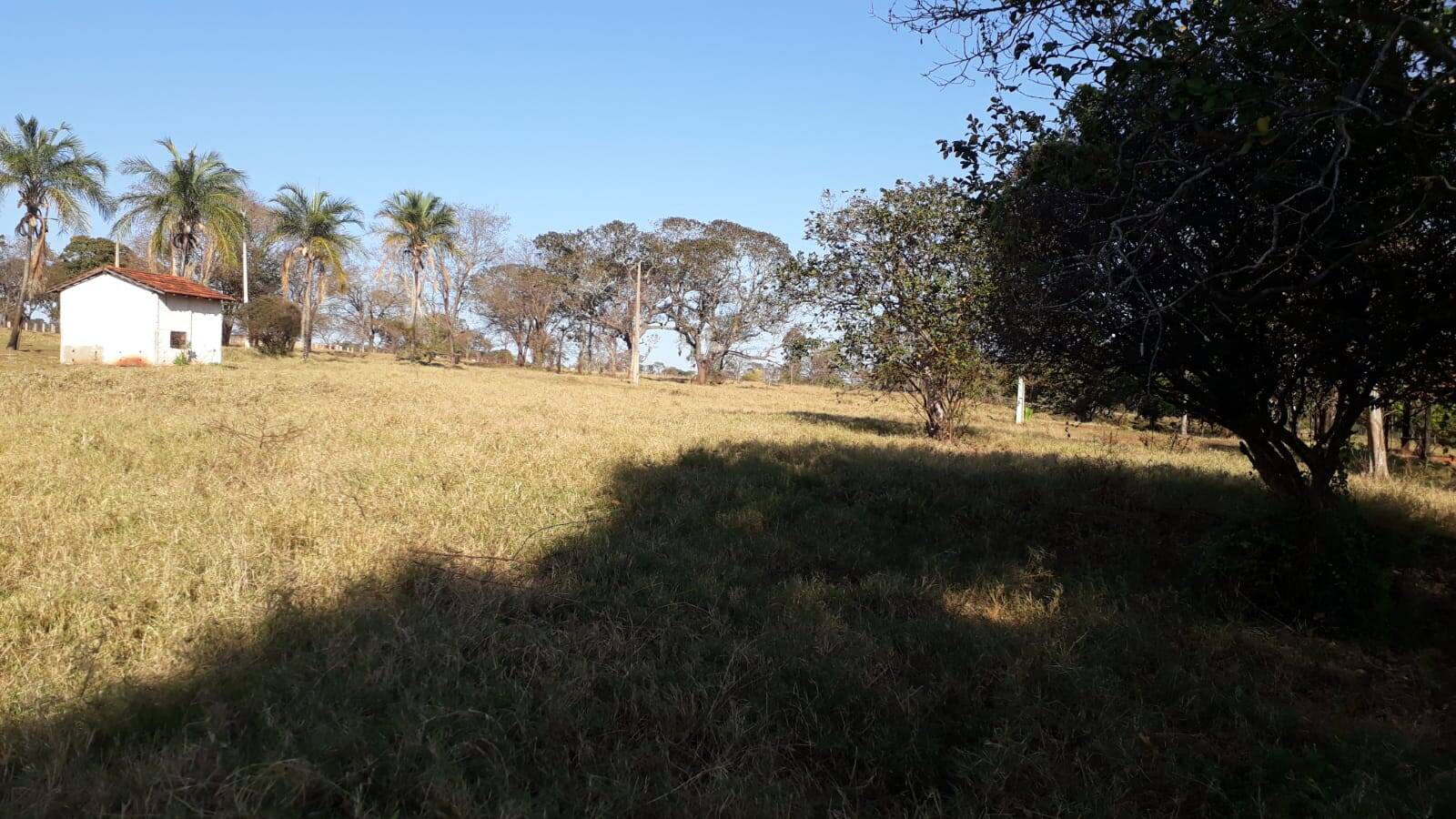 Fazenda à venda, 314m² - Foto 7