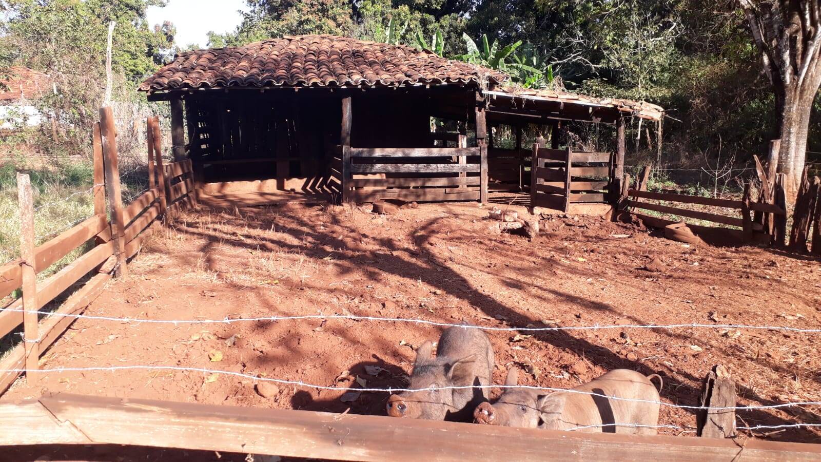 Fazenda à venda, 314m² - Foto 8