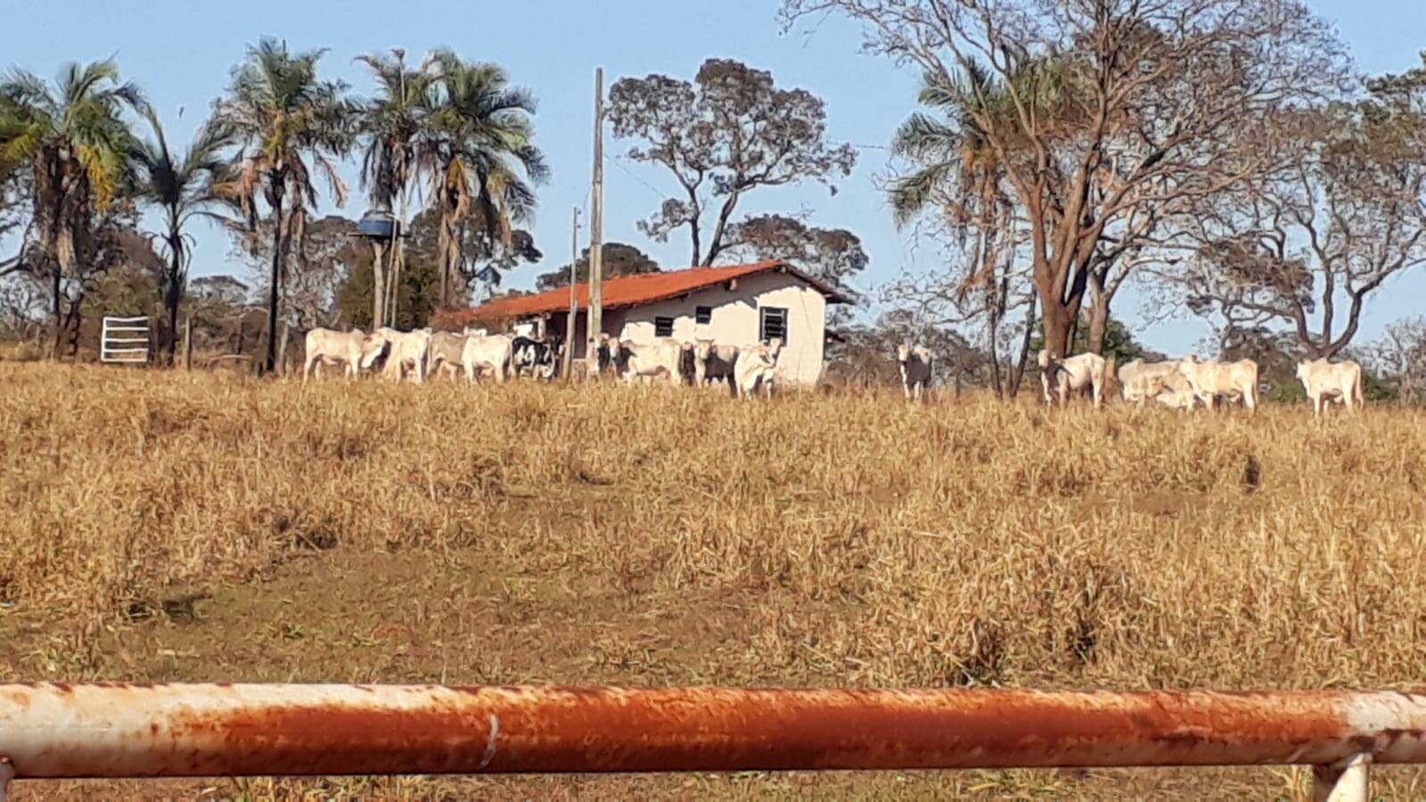 Fazenda à venda, 314m² - Foto 12