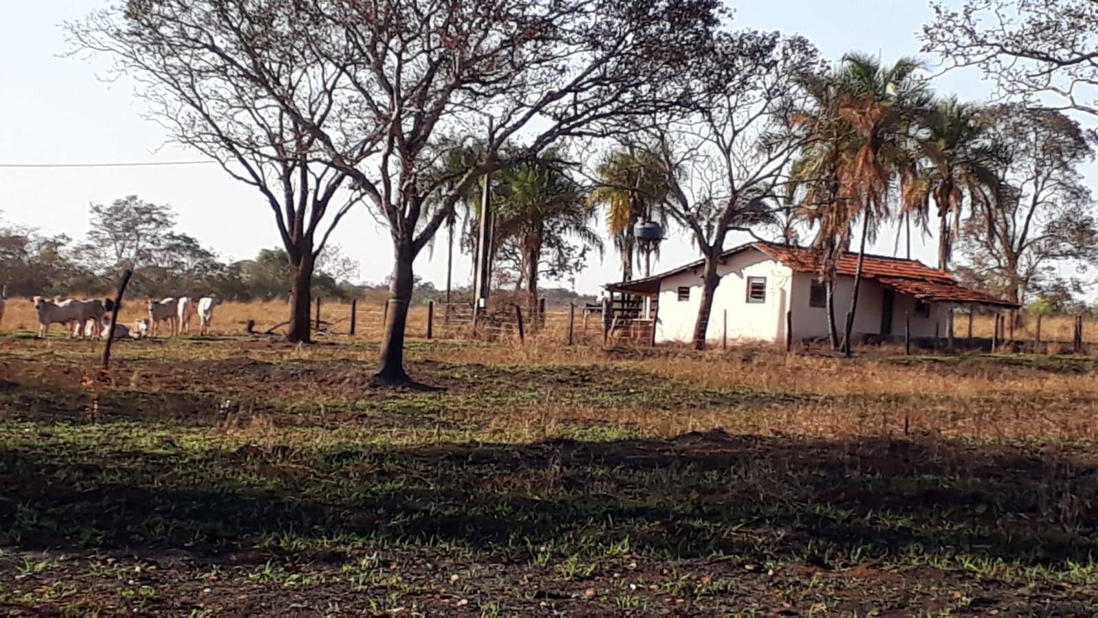 Fazenda à venda, 314m² - Foto 17