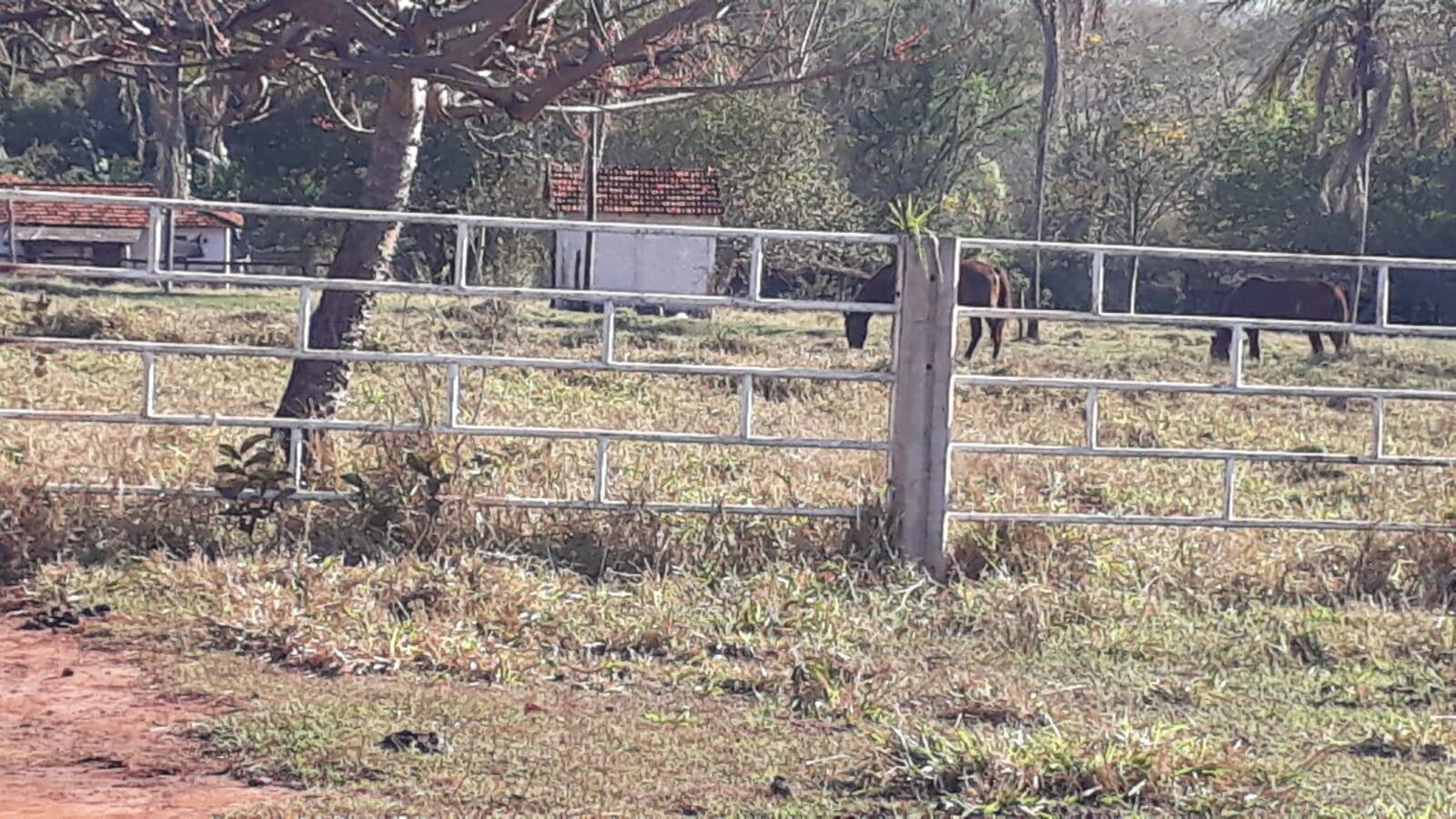 Fazenda à venda, 314m² - Foto 16