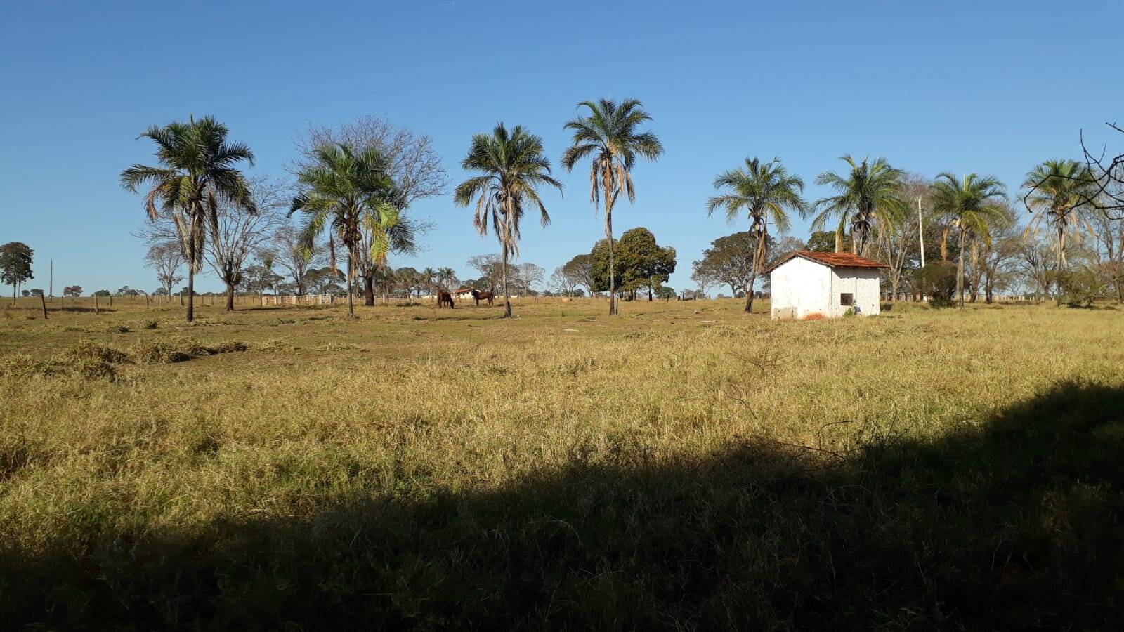 Fazenda à venda, 314m² - Foto 18