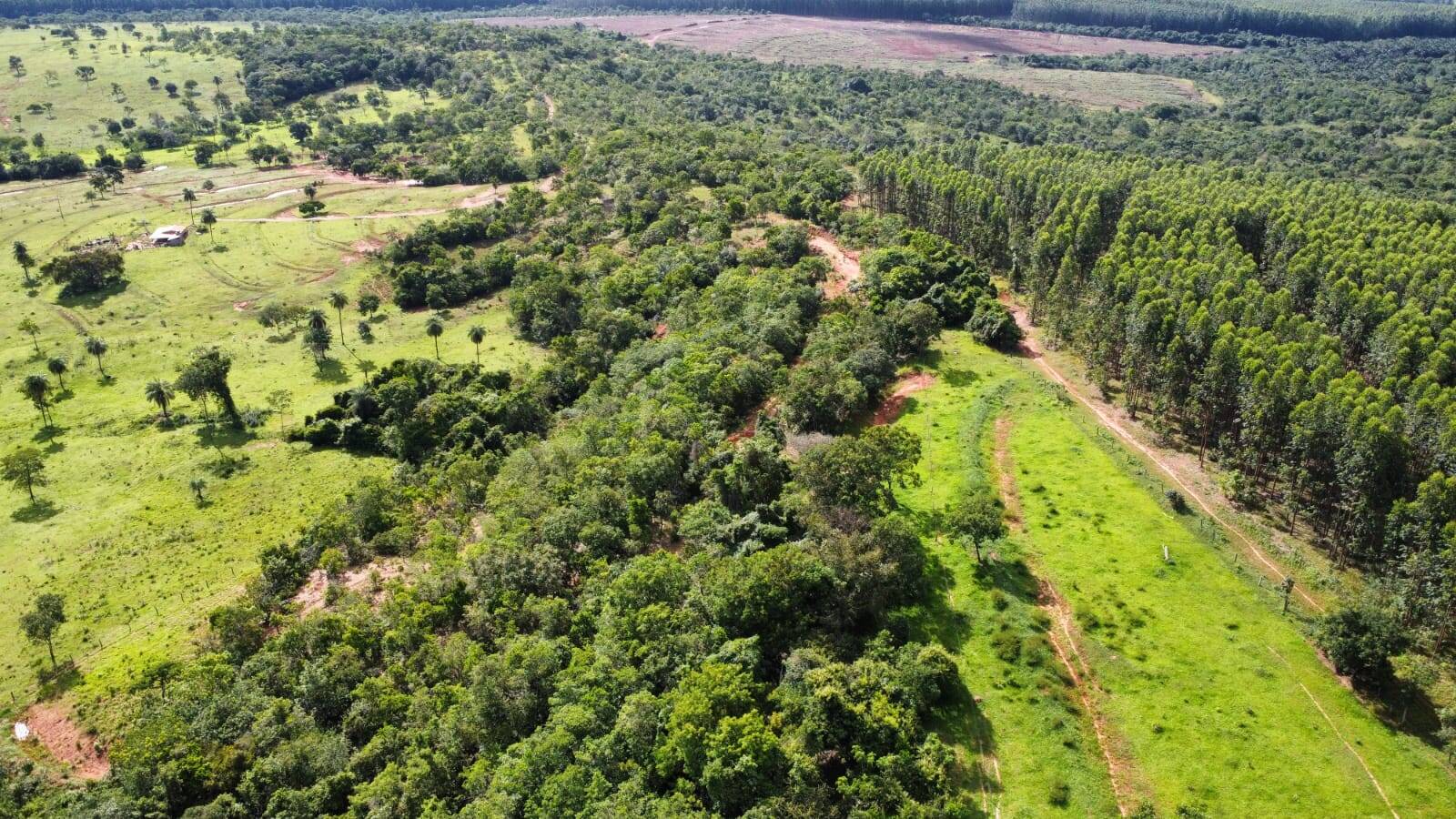 Fazenda à venda, 24m² - Foto 12