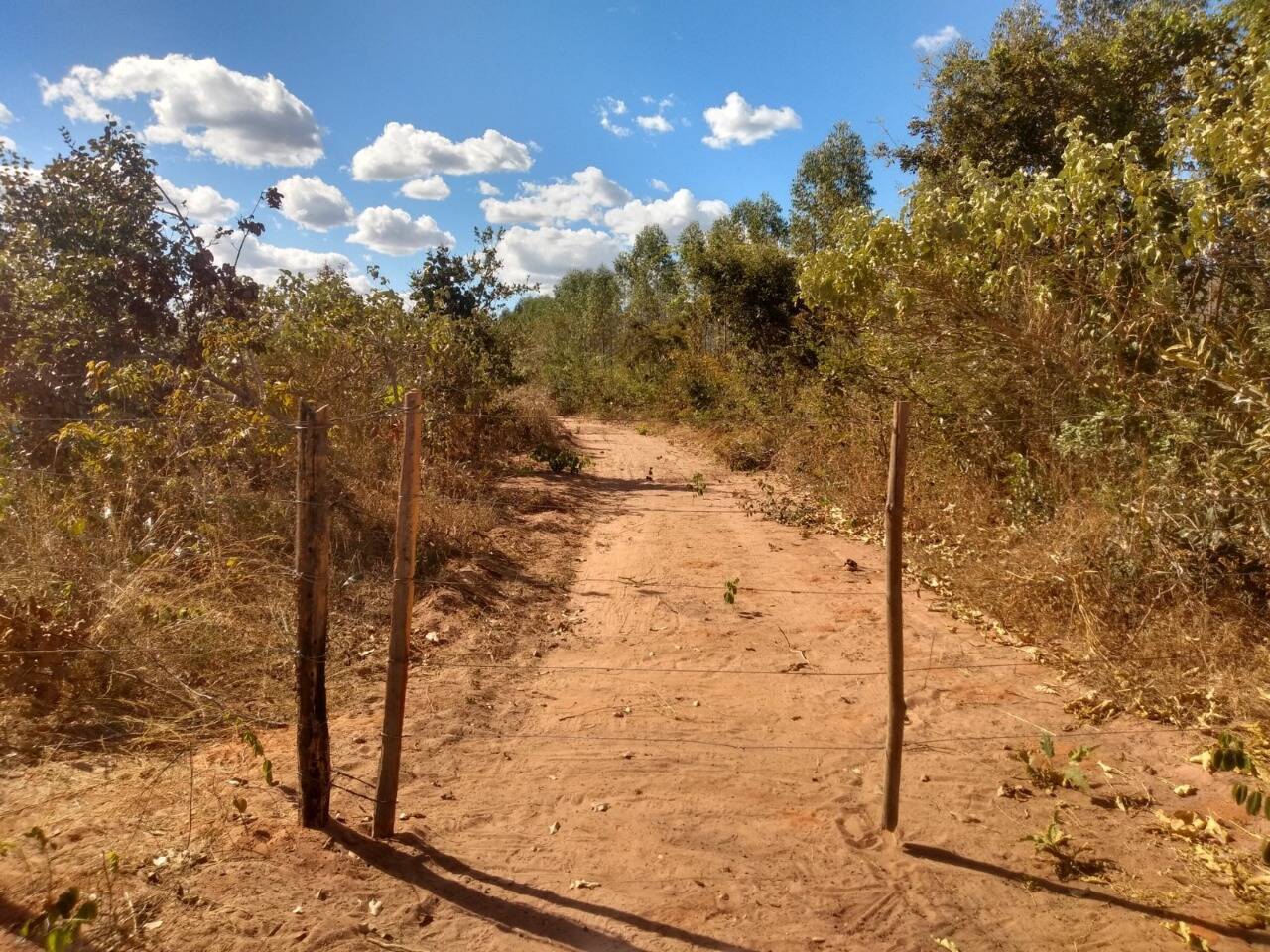 Fazenda à venda, 1630m² - Foto 3