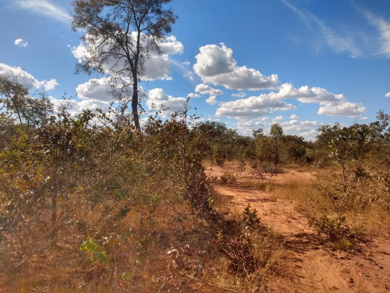 Fazenda à venda, 1630m² - Foto 12