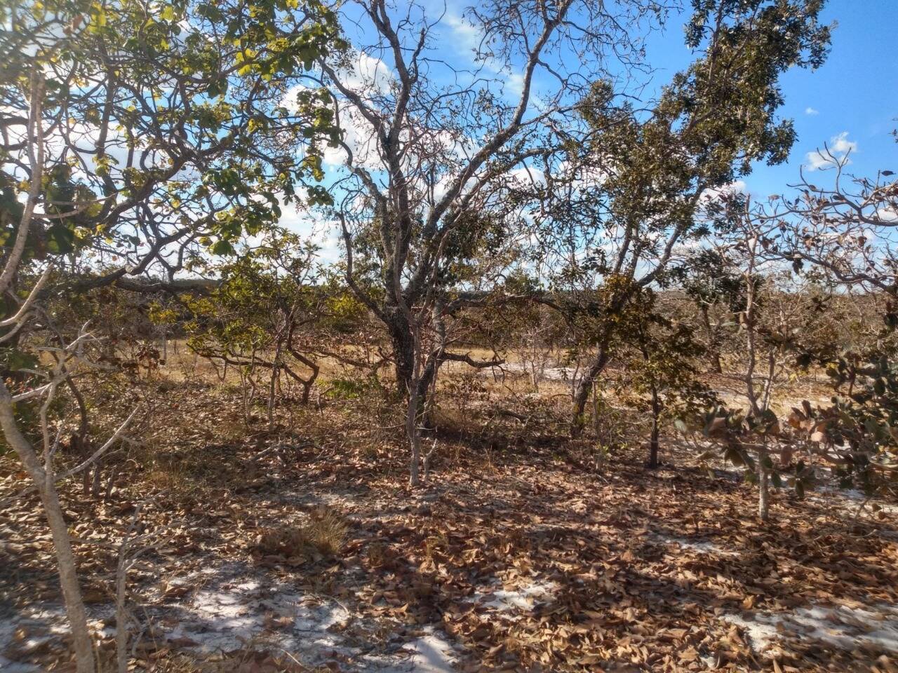 Fazenda à venda, 1630m² - Foto 13