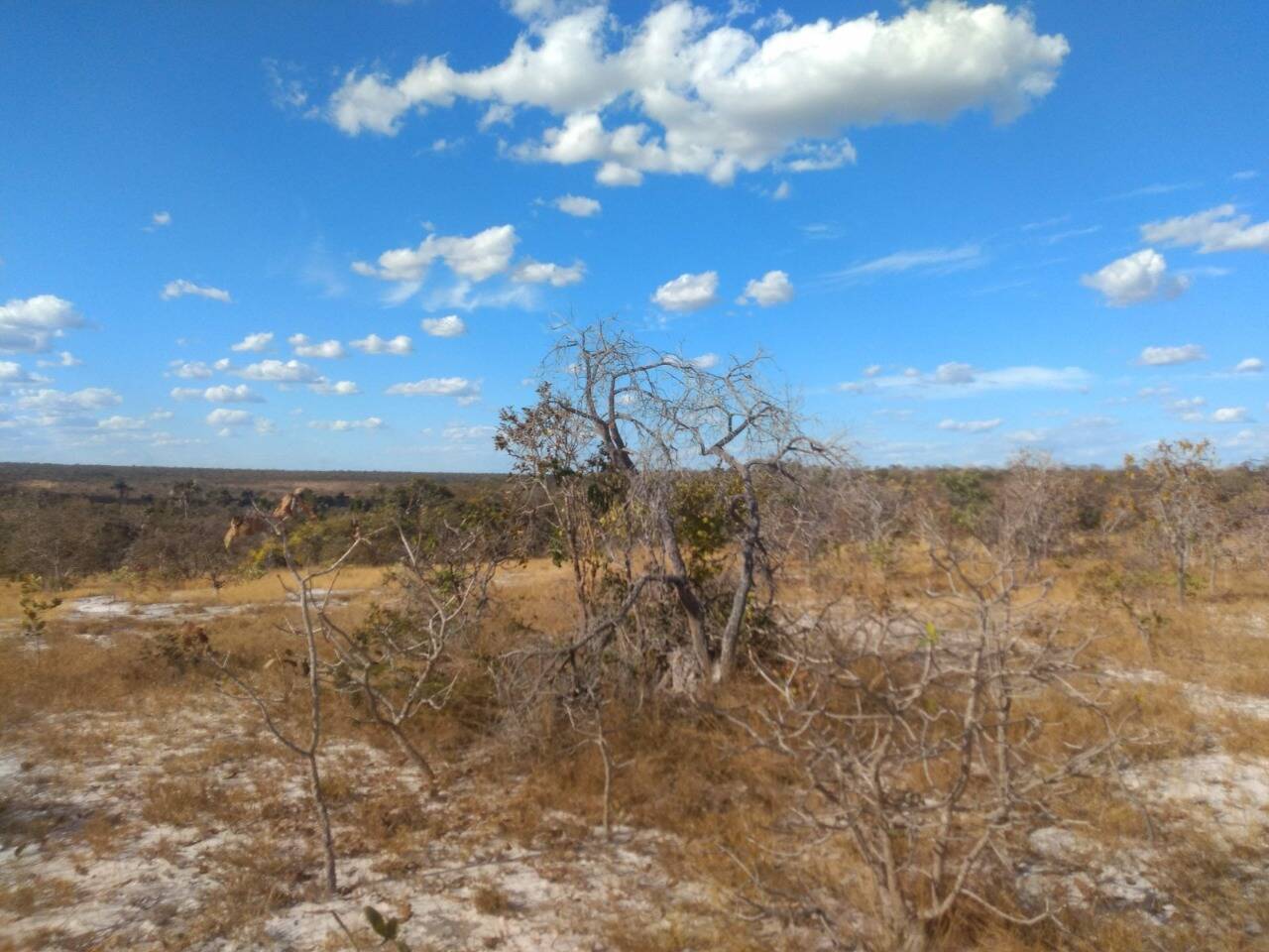 Fazenda à venda, 1630m² - Foto 14