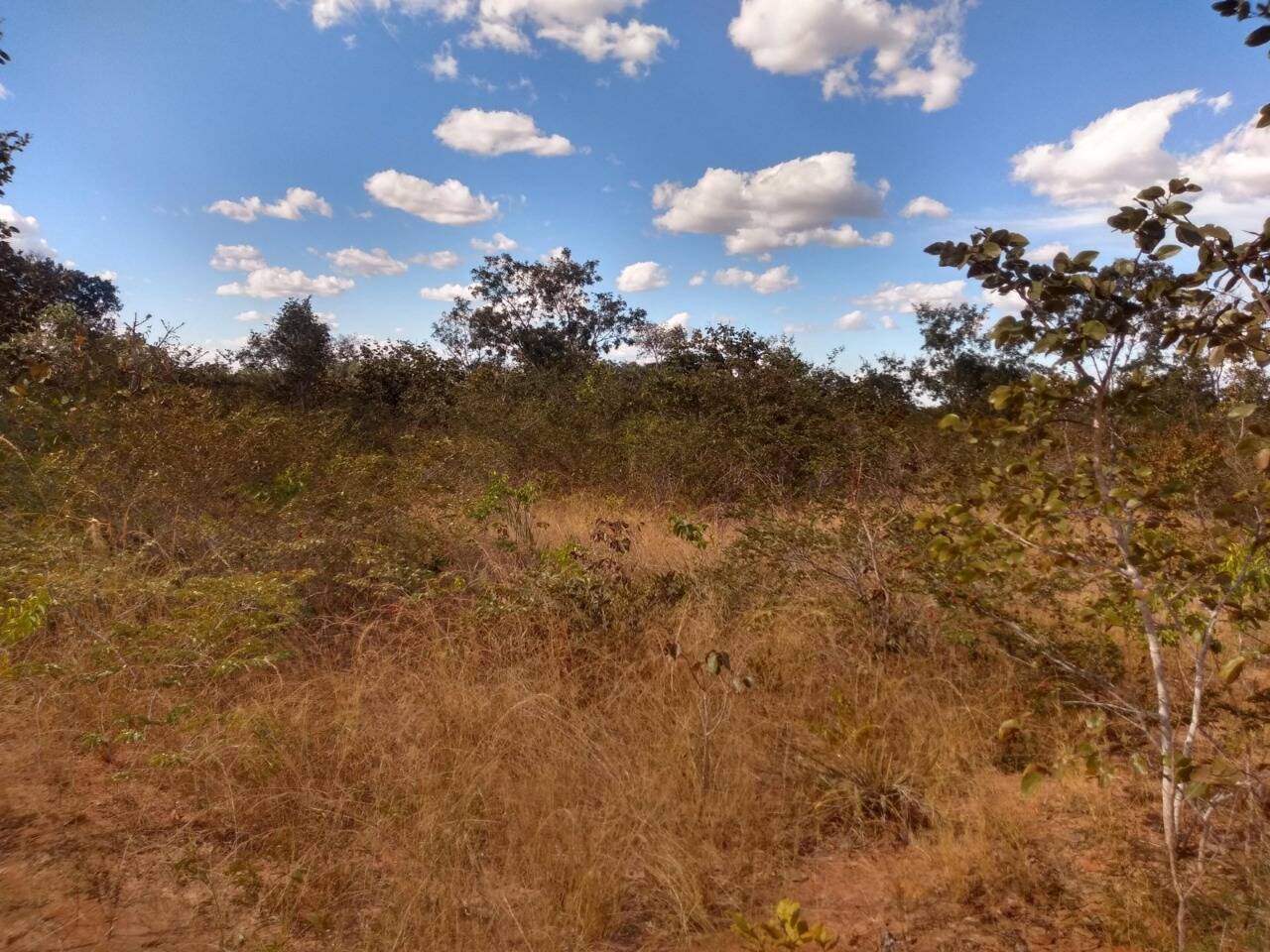 Fazenda à venda, 1630m² - Foto 2