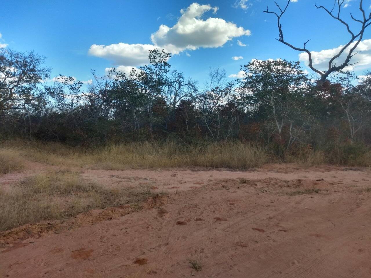 Fazenda à venda, 1630m² - Foto 10