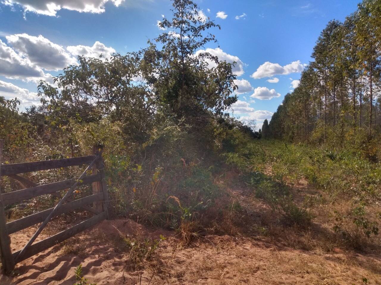 Fazenda à venda, 1630m² - Foto 4