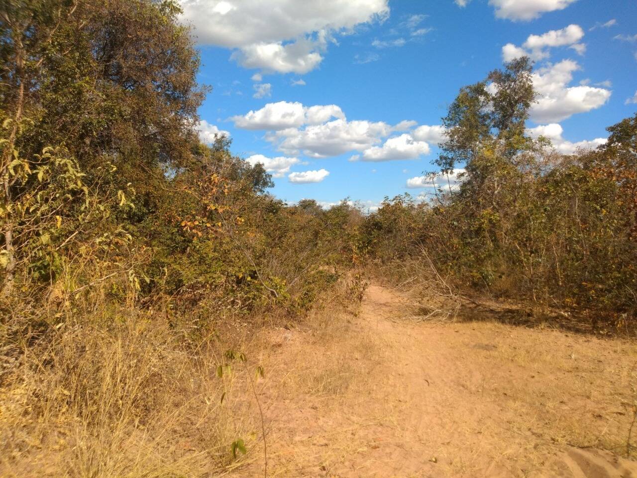 Fazenda à venda, 1630m² - Foto 9