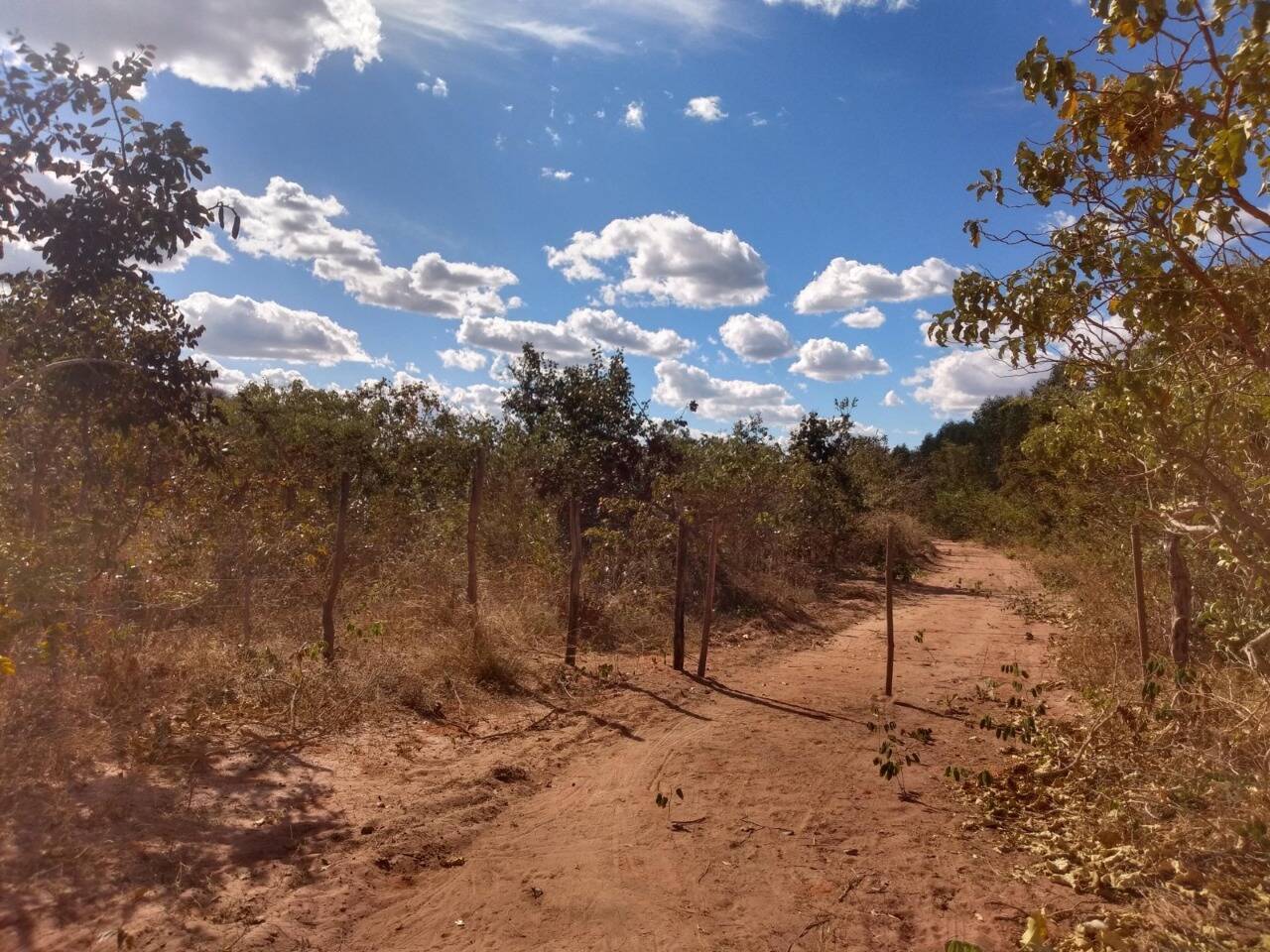 Fazenda à venda, 1630m² - Foto 1