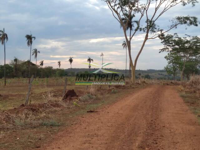 #579 - Fazenda para Venda em Santa Vitória - MG - 2