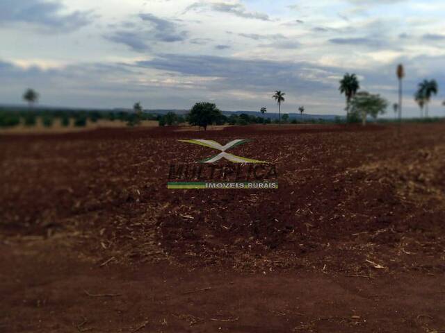 #579 - Fazenda para Venda em Santa Vitória - MG - 3