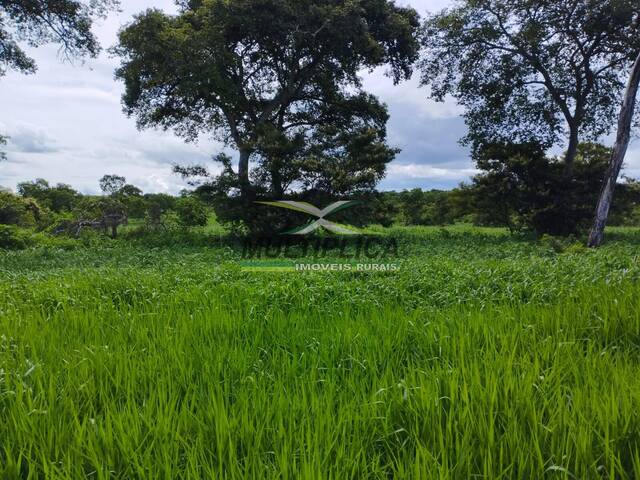 #589 - Fazenda para Venda em Montes Claros - MG