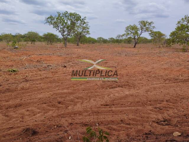 #589 - Fazenda para Venda em Montes Claros - MG - 2