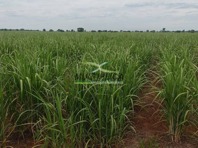 #596 - Fazenda para Venda em Campina Verde - MG - 2