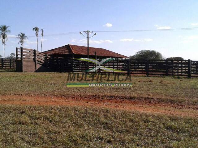 #597 - Fazenda para Venda em Santa Vitória - MG - 2