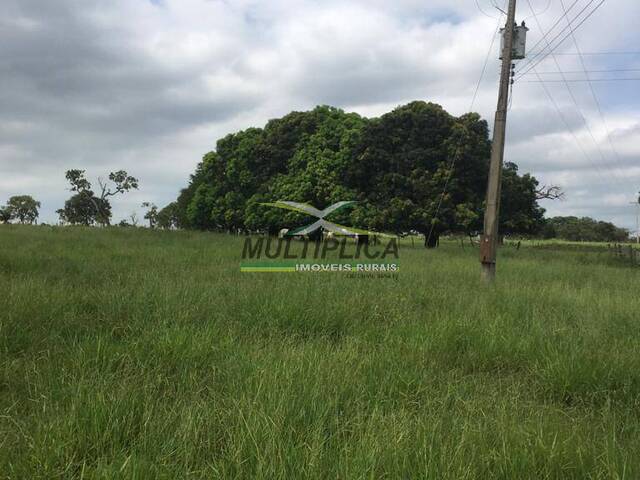 #598 - Fazenda para Venda em Ilha Solteira - SP