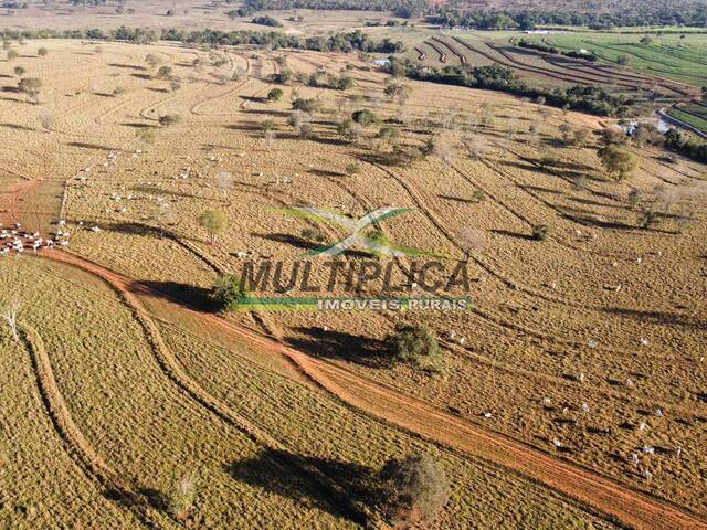 #600 - Fazenda para Venda em Aparecida do Taboado - MS