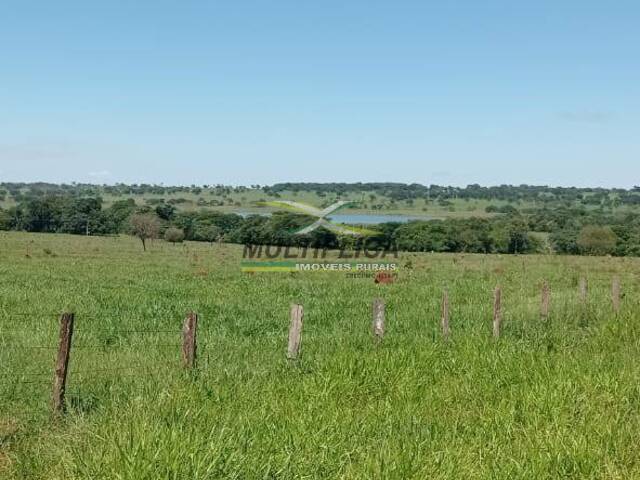 #601 - Fazenda para Venda em Santa Vitória - MG - 3