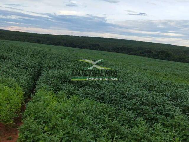 #603 - Fazenda para Venda em Prata - MG - 3