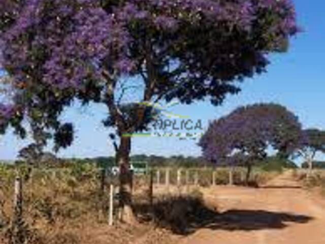 #605 - Fazenda para Venda em Urucuia - MG - 1