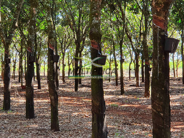 #607 - Fazenda para Venda em Prata - MG