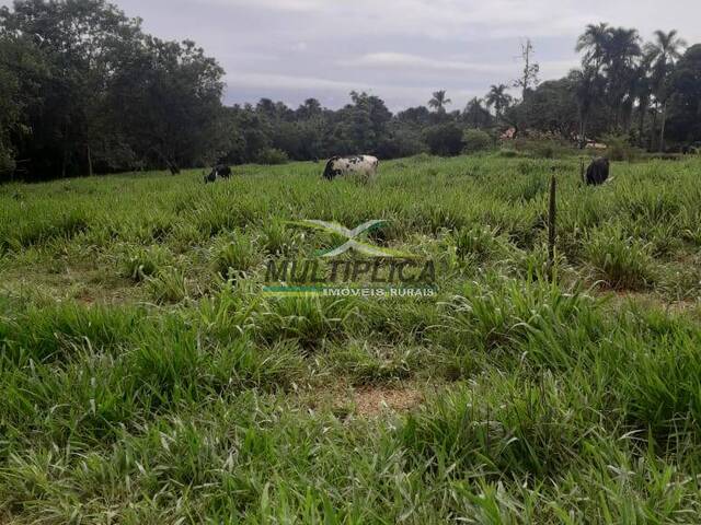 #608 - Sítio para Venda em Monte Alegre de Minas - MG