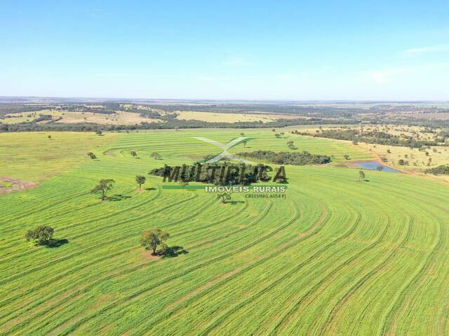 #609 - Fazenda para Venda em Campina Verde - MG - 3